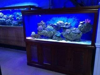 大型魚缸費電嗎多少錢：大型魚缸電費估算方法