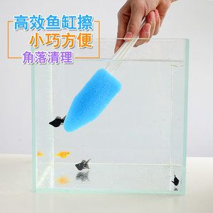 玻璃魚缸清洗妙招：洗清洗玻璃魚缸時，有幾種有效的方法可以幫助你輕松清潔魚缸