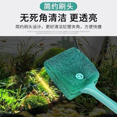 玻璃魚缸清洗妙招：洗清洗玻璃魚缸時，有幾種有效的方法可以幫助你輕松清潔魚缸