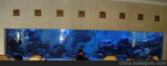 湛河區俊俊觀賞魚水族館（湛河區俊俊觀賞魚水族館地址）