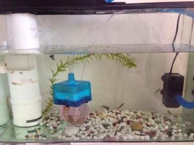 森森魚(yú)缸he480加反氣舉
