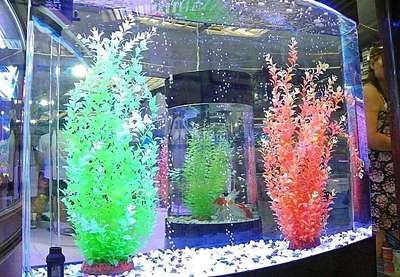 森森魚缸老款側濾（森森魚缸側濾安裝圖解）