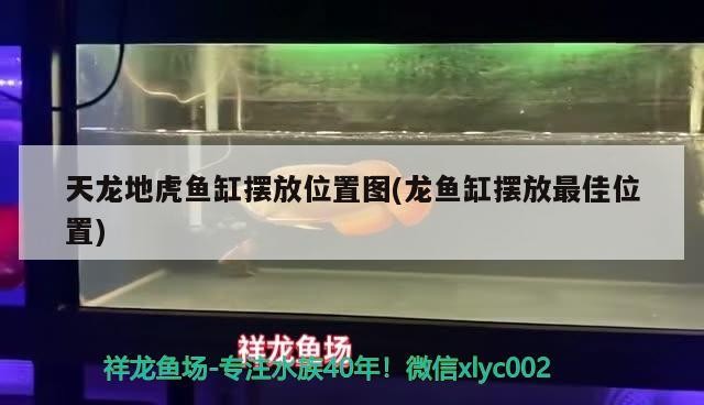 天龍地虎魚缸擺放位置圖(龍魚缸擺放最佳位置)