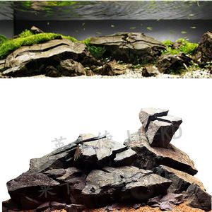 慈鯛魚缸造景技巧圖：慈鯛魚缸的造景技巧 慈鯛魚缸造景技巧圖：慈鯛魚缸的造景技巧 魚缸百科 第4張