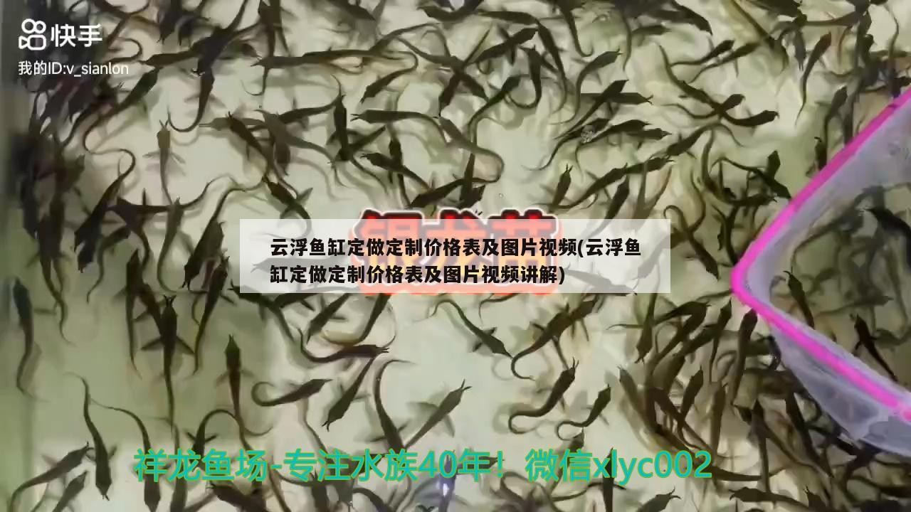 云浮魚缸定做定制價格表及圖片視頻(云浮魚缸定做定制價格表及圖片視頻講解)