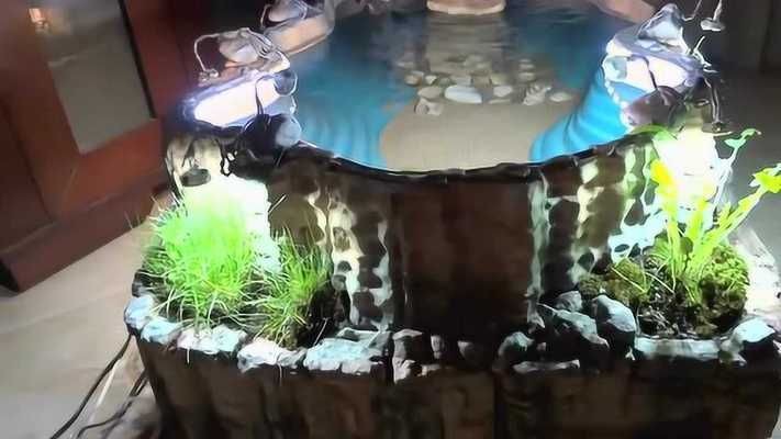 龍魚缸吧，龍魚缸的設計、風水及其在家庭環境中的作用
