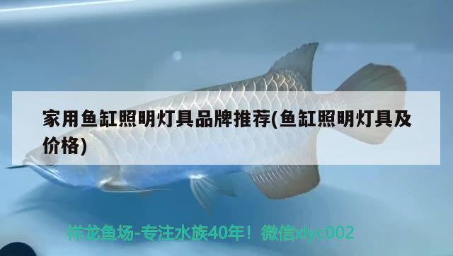 家用魚缸照明燈具品牌推薦(魚缸照明燈具及價格)