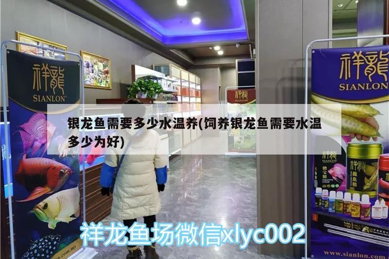 銀龍魚需要多少水溫養(飼養銀龍魚需要水溫多少為好)