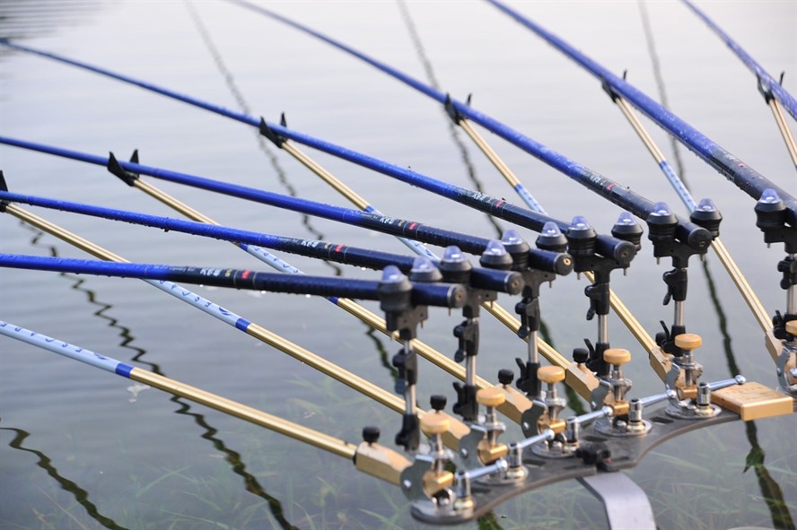 怎樣清除魚缸里的綠藻呢視頻(怎么去除魚缸的綠藻)