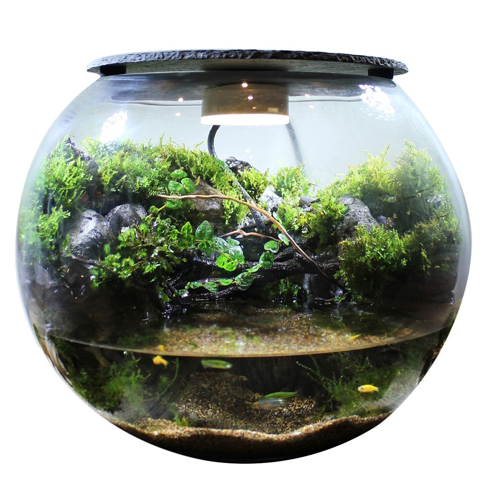 淶源縣金世禮品（淶源縣金世禮品店電話）