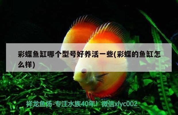 章貢區金海王熱帶水族館（章貢區金海王熱帶水族館地址）
