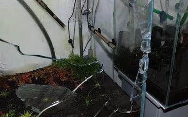 玻璃魚缸開裂如何處理視頻：魚缸玻璃裂了怎么修復，修補方法 玻璃魚缸開裂如何處理視頻：魚缸玻璃裂了怎么修復，修補方法 魚缸百科 第2張
