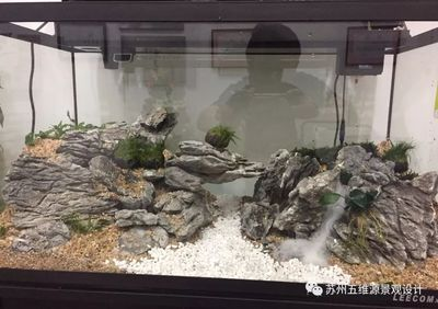純石頭造景魚缸價格：純石頭造景魚缸的價格