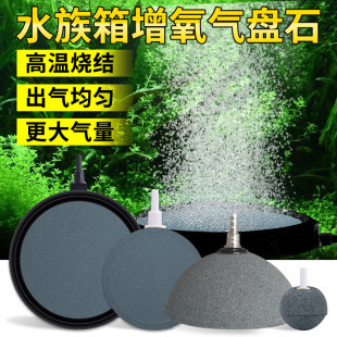 雷龍魚的最佳溫度是多少（雷龍魚的最佳溫度是多少度）