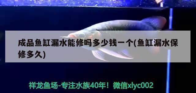 成品魚缸漏水能修嗎多少錢一個(魚缸漏水保修多久)