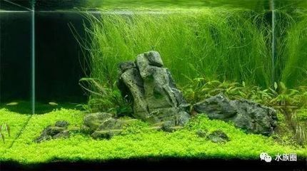 博山二手魚缸市場：博山二手魚缸交易信息
