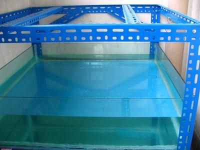 白色玻璃膠能粘魚缸嗎：白色玻璃膠是否適合粘魚缸