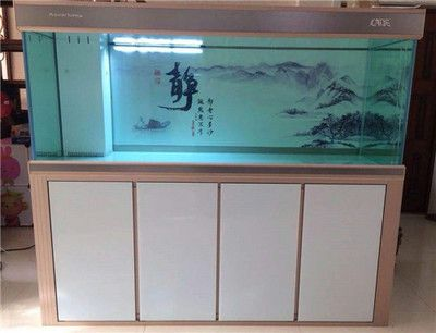 帶蓋子的魚缸怎么改過濾：帶蓋子的魚缸改過濾的方法
