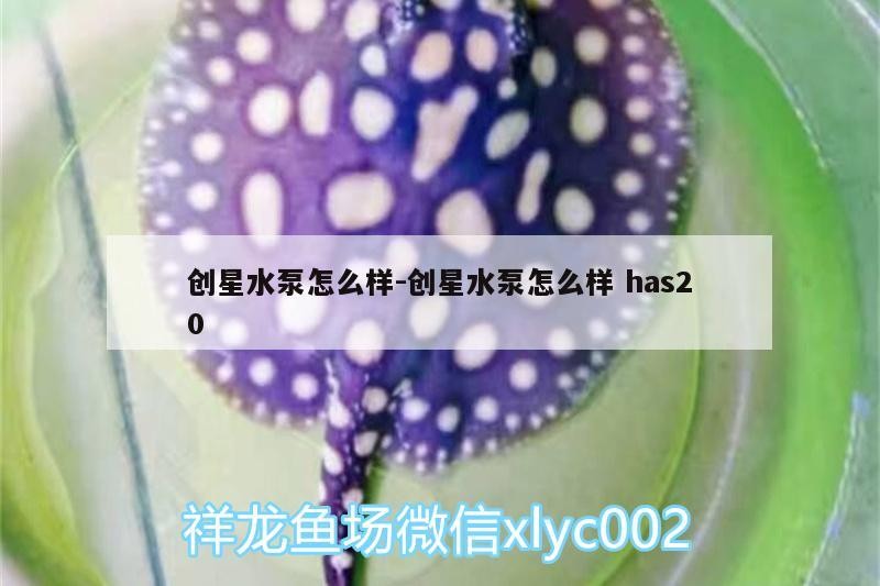 創星水泵怎么樣:創星水泵怎么樣has20