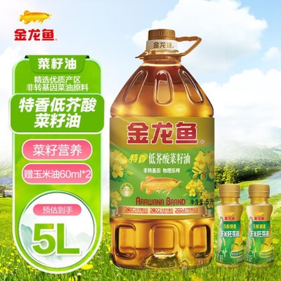 金龍魚藍底好還是金底好 金龍魚藍底好還是金底好 龍魚百科 第4張