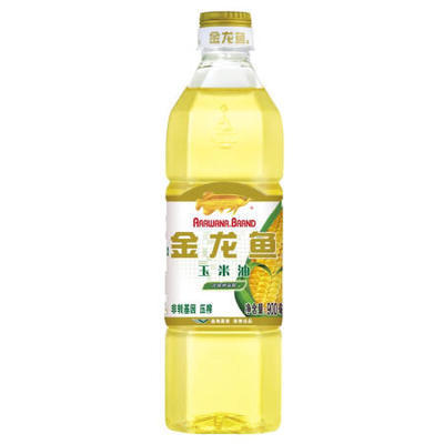 金龍魚藍底好還是金底好