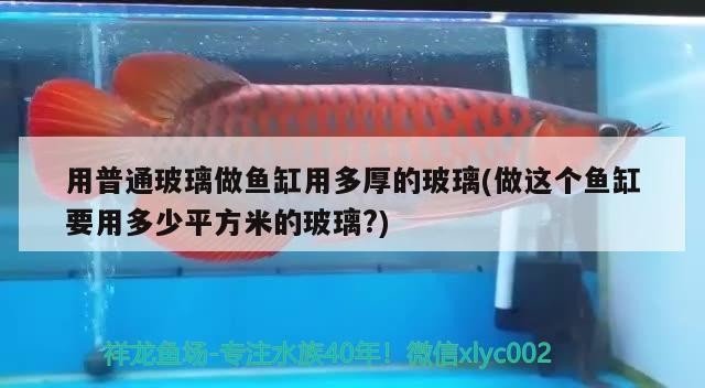 用普通玻璃做魚缸用多厚的玻璃(做這個魚缸要用多少平方米的玻璃?)