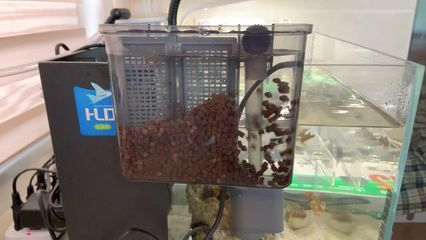 龍魚(yú)的過(guò)濾材料怎么用好