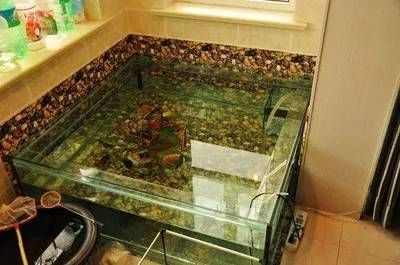 把魚缸放在陽臺的位置好不好：魚缸擺放在陽臺的風水注意事項