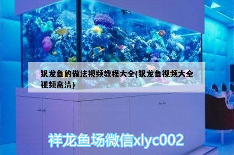 銀龍魚的做法視頻教程大全(銀龍魚視頻大全視頻高清)