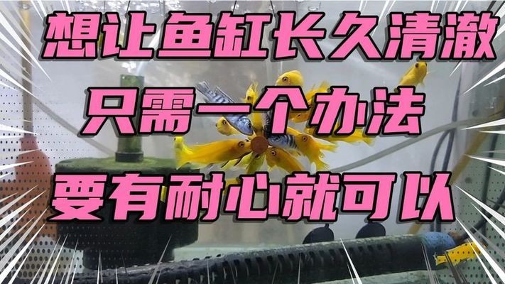 森森潛水泵質量怎么樣（森森的潛水泵怎么樣）