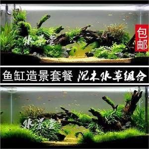 不種水草魚缸怎樣造景：不種水草的魚缸怎么造景？