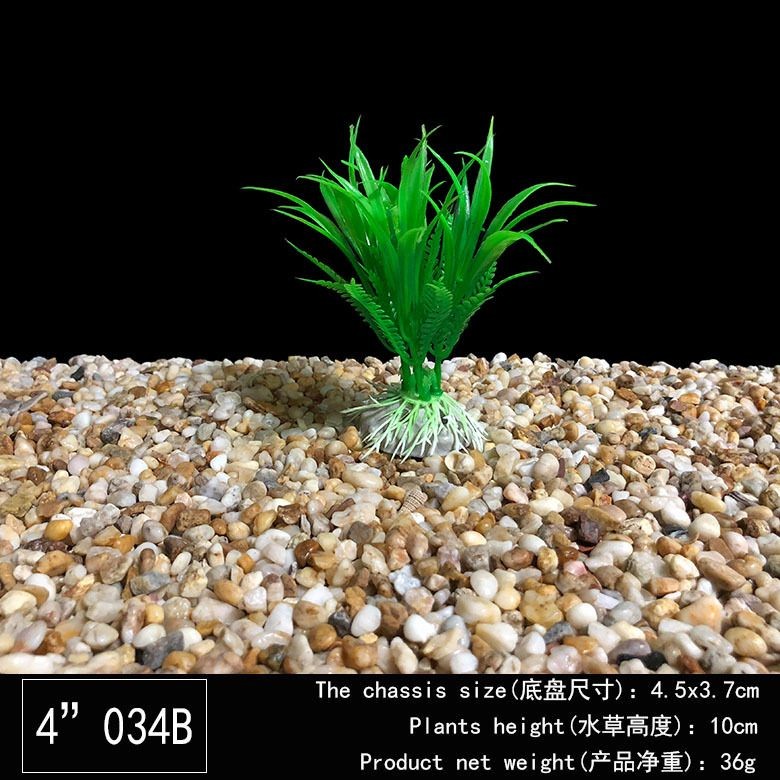 不種水草魚缸怎樣造景：不種水草的魚缸怎么造景？