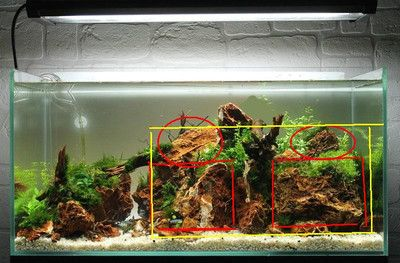 不種水草魚缸怎樣造景：不種水草的魚缸怎么造景？