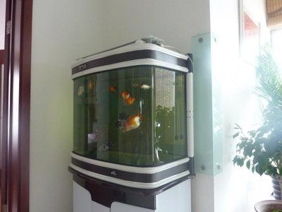 大件魚缸運費多少：大件魚缸搬運服務