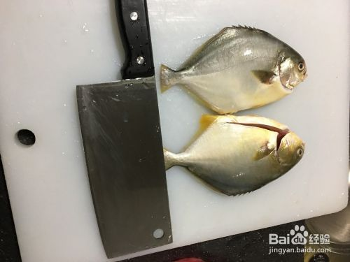 廣州觀賞魚進出口貿易公司排名前十位（廣州觀賞魚批發(fā)）