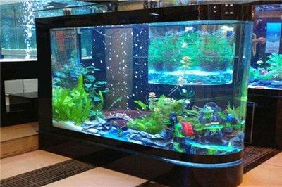 彩石魚缸怎么布景：彩石魚缸布景技巧
