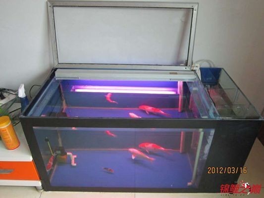 側濾魚缸如何實現干濕分離狀態視頻：側濾魚缸如何實現干濕分離