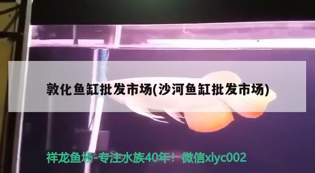 <strong><mark>敦化</mark></strong>魚缸批發市場(沙河魚缸批發市場)