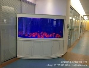 成品魚缸多少錢：成品魚缸的價格以及選購注意事項