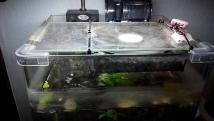 成品魚缸能不能開孔：成品魚缸可以開孔嗎