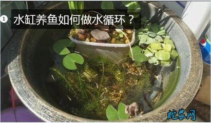 北面陽臺放魚缸好不好：北面陽臺放魚缸有利于財運嗎？