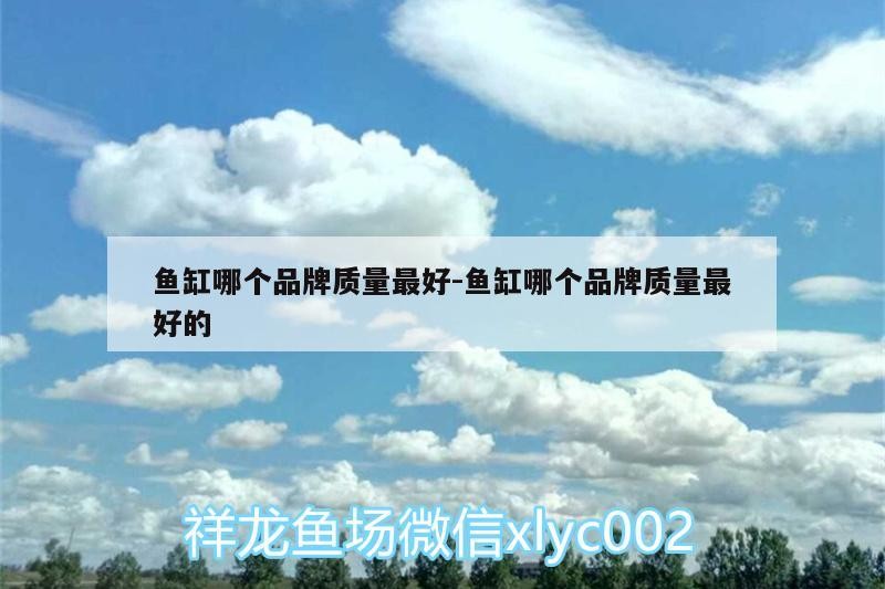 魚缸哪個品牌質量最好:魚缸哪個品牌質量最好的