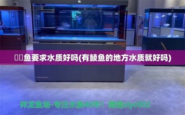 福魟魟魚最佳飼養(yǎng)環(huán)境設置，福[需手動填充][需手動填充]魚夜間活動習性,如何預防魟魚跳缸技巧