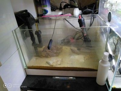 超白魚缸刮花了怎么處理：超白魚缸刮花了怎么辦