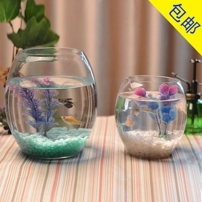 辦公桌上放魚缸好不好：辦公桌上養魚風水