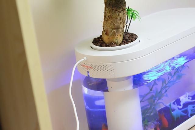 大型魚缸加熱棒怎么安裝：大型魚缸加熱棒需要考慮魚缸的實際情況和加熱棒的工作原理