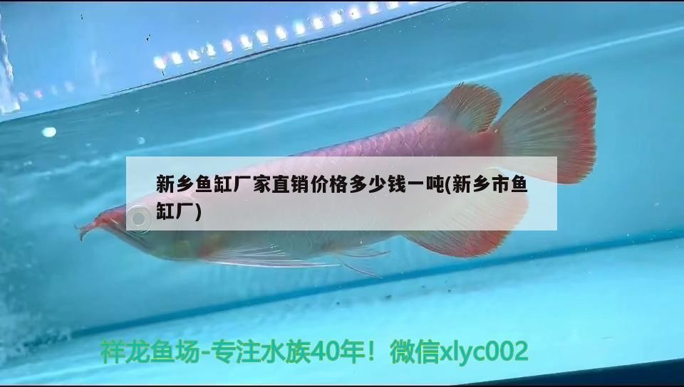 新鄉魚缸廠家直銷價格多少錢一噸(新鄉市魚缸廠)
