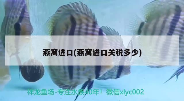 虎魚今天至少120個回合