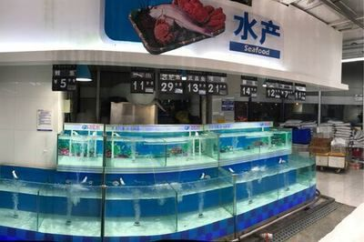 超市賣淡水魚專用魚缸怎么樣：如何評估超市賣淡水魚專用魚缸？