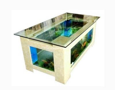 玻璃魚缸養金魚視頻：如何在玻璃魚缸中養金魚？